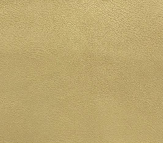 art. BASIC XG627